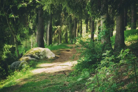 Vandringsled nära campingplats i Sverige