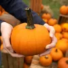 Pumpor