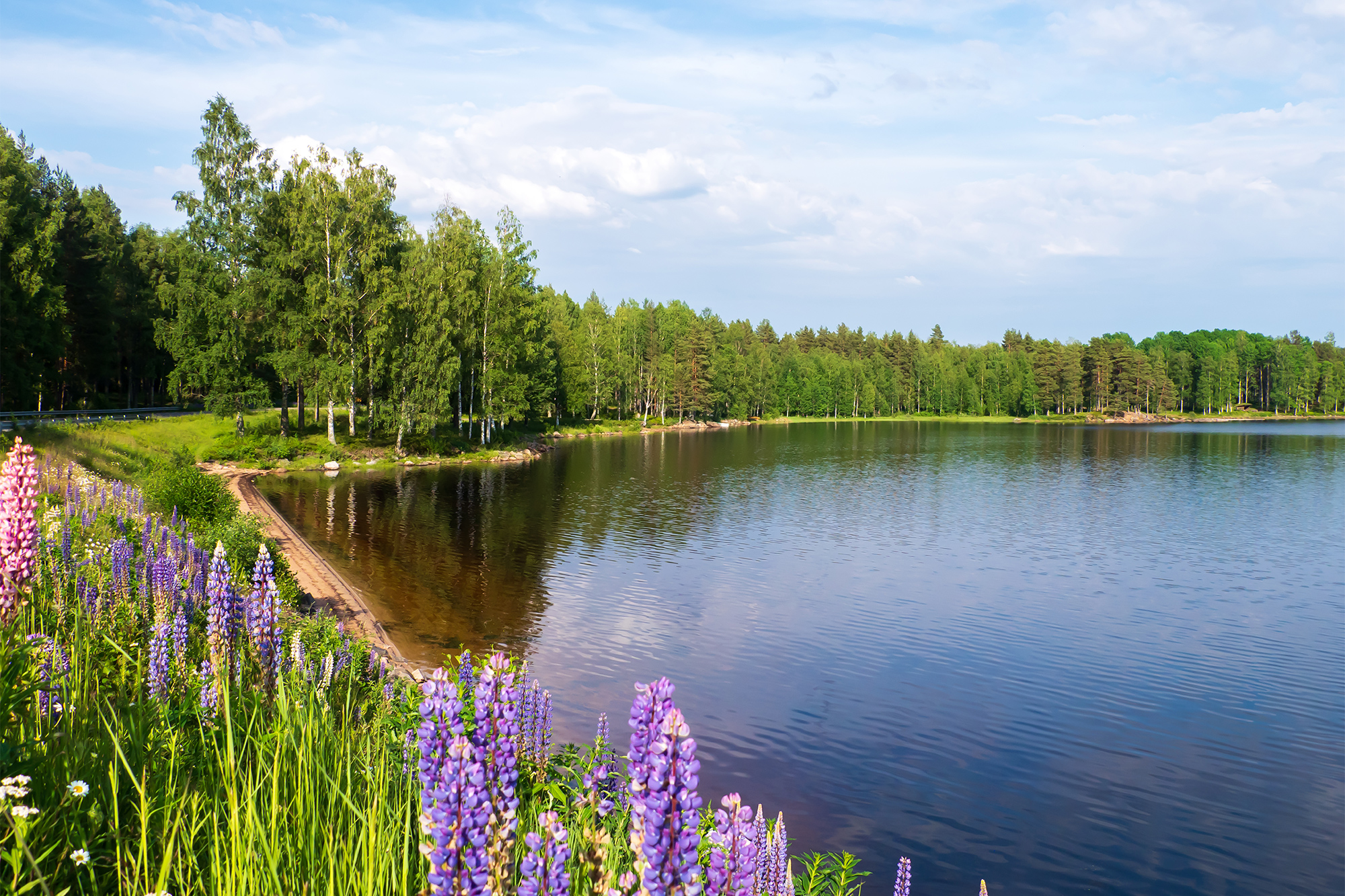 Boende Värmland | Boka på Camping.se | Camping.se